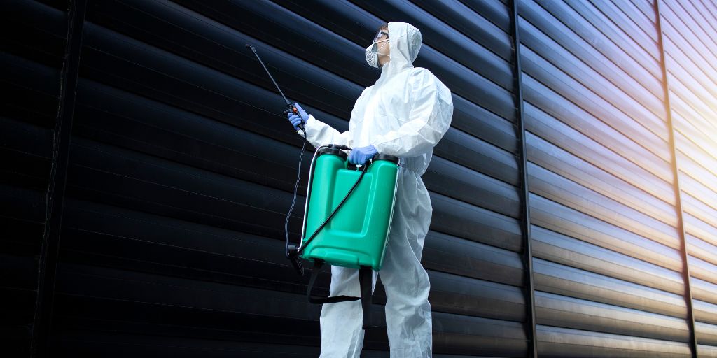 How to Prevent Rodent Infestations in Your Home